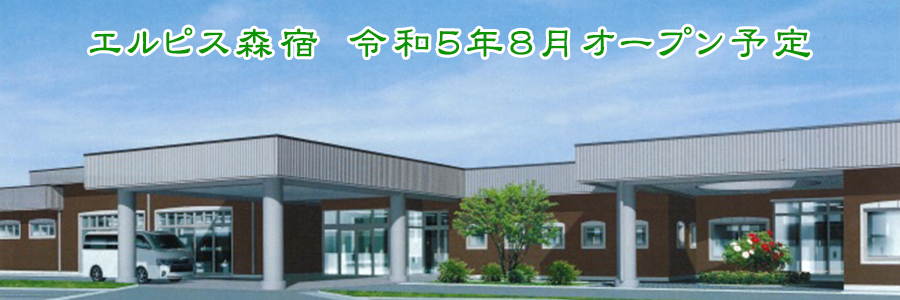 エルピス森宿